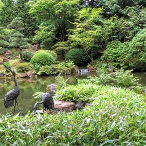 Reflecting Pond, Japanese Garden, Portland