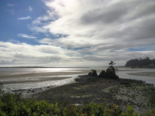 Low Tide, Oregon Coast