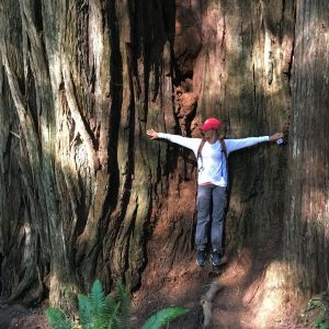 Giant Redwoods, Jedediah Smith State Park