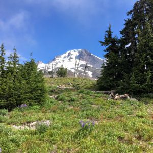 Mt. Hood, Timberline Lodge