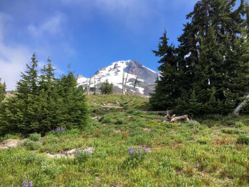 Mt. Hood, Timberline Lodge